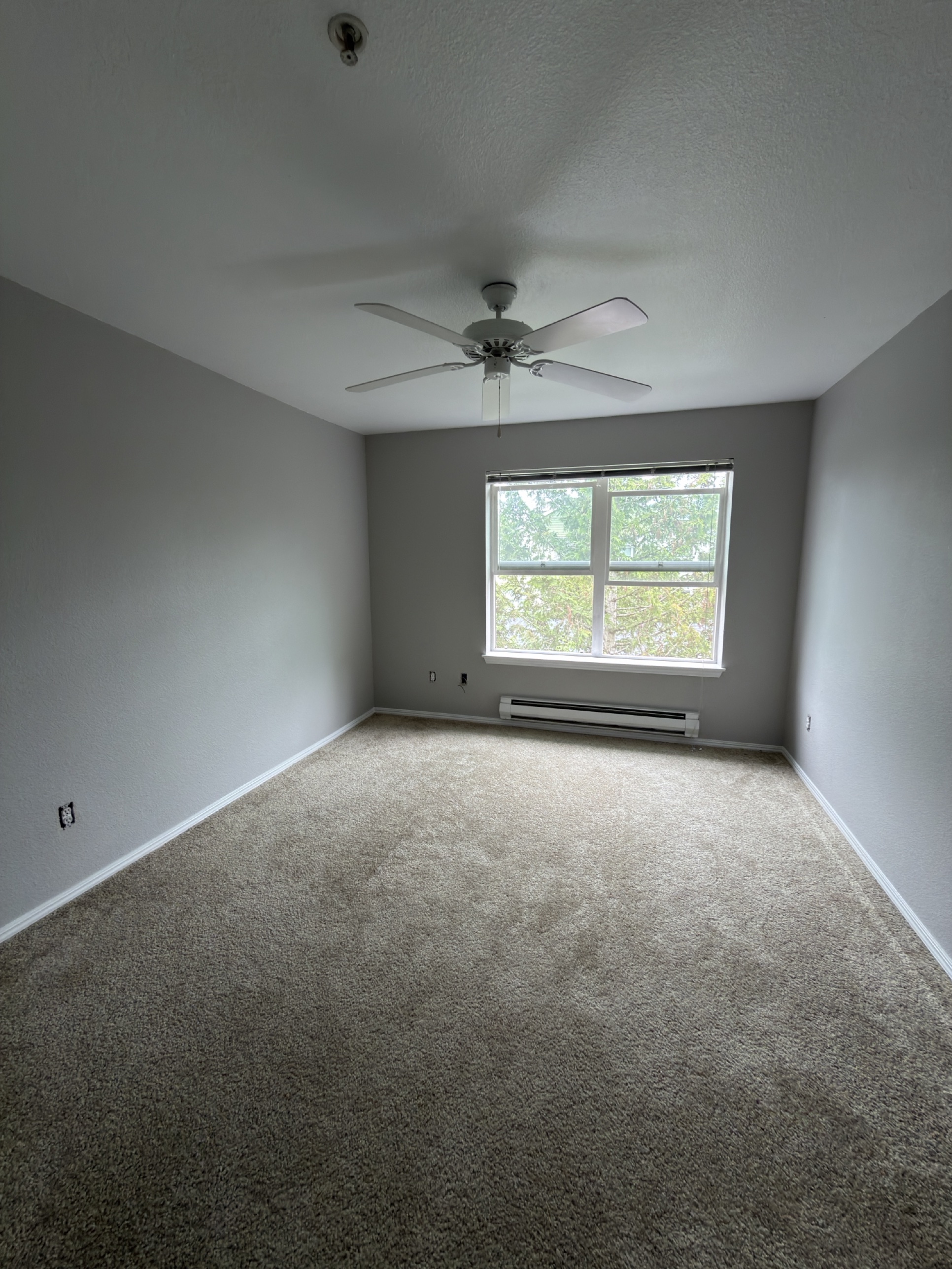 Repainted bedroom with new carpet